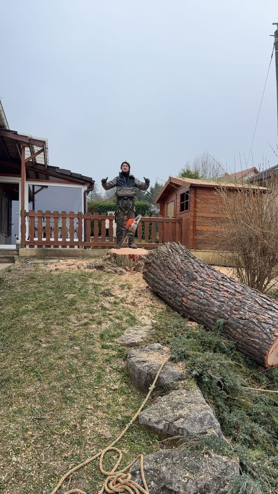 Tronc du pin couché au sol en fin de chantier