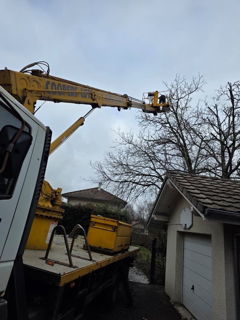 Camion-grue chargé de branches, évacuation des déchets verts
