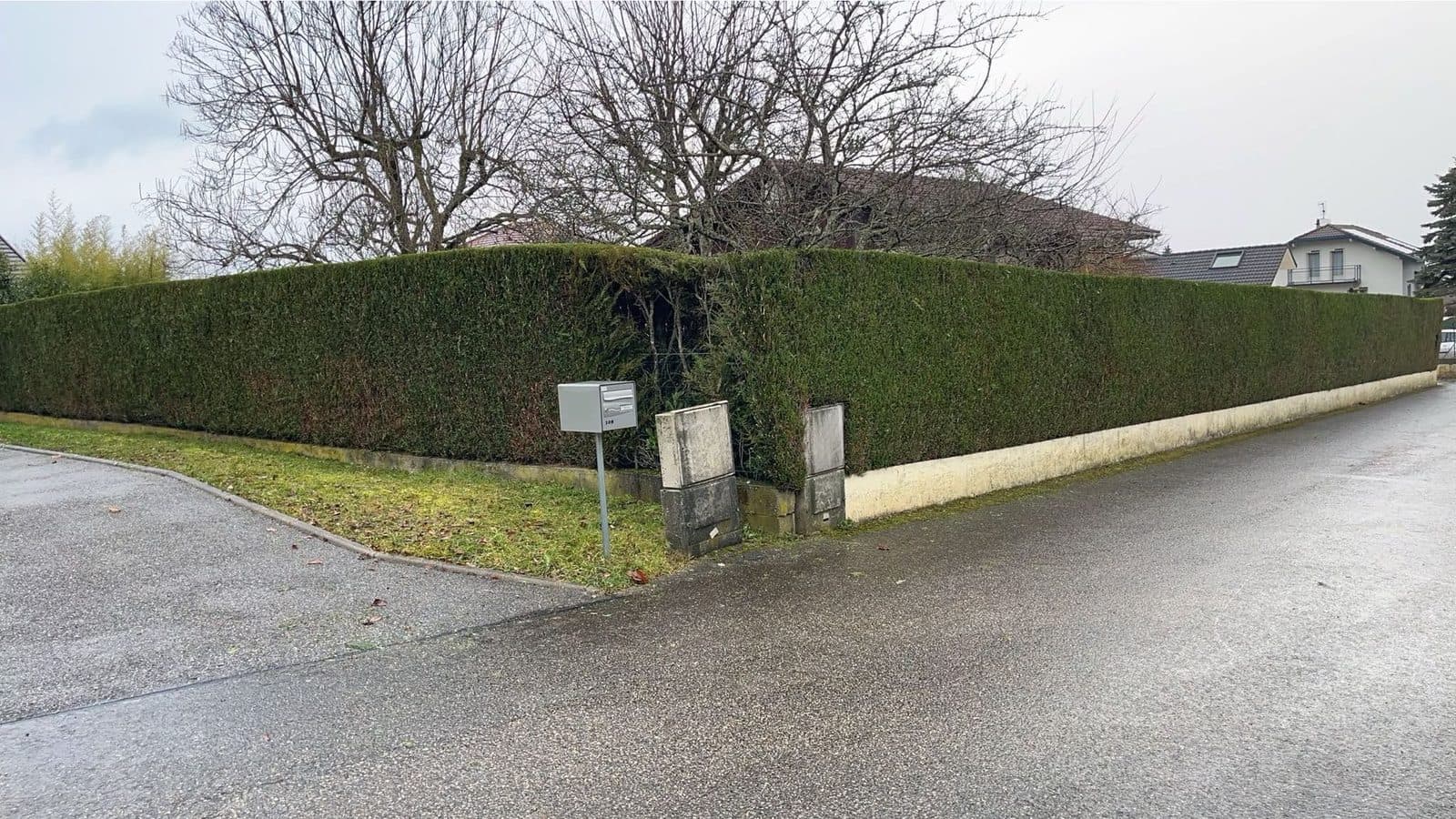 Haie taillée à l'angle d'une rue
