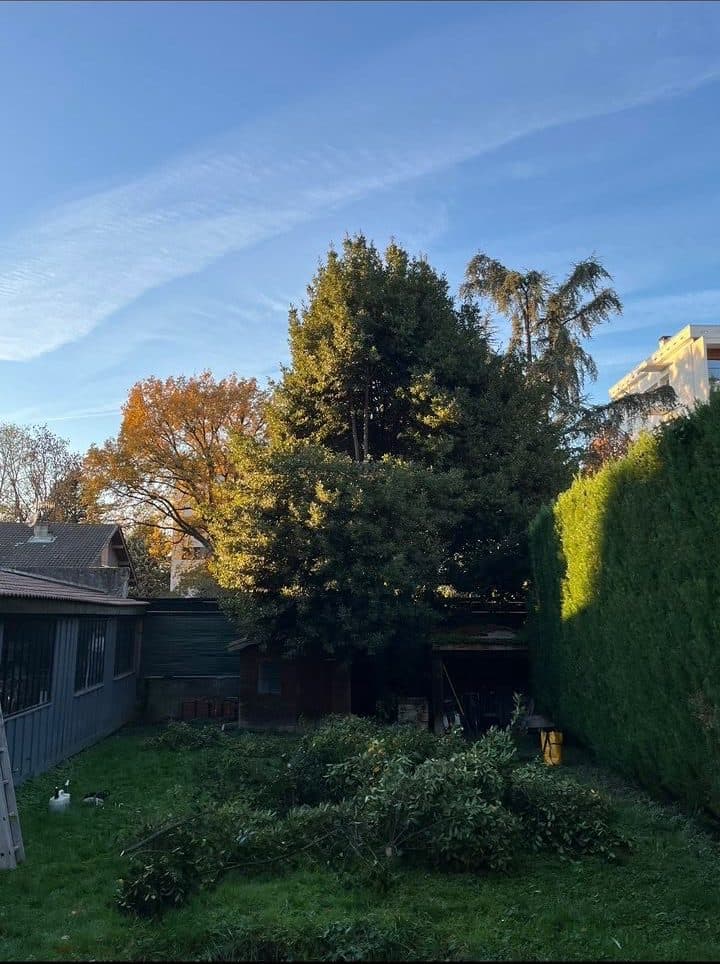 Le même fond de jardin dégagé, après intervention