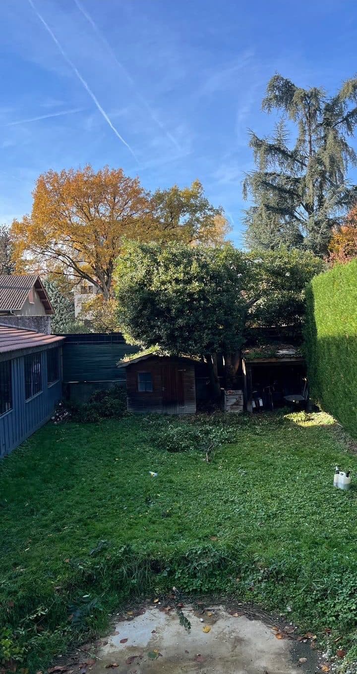 Fond de jardin encombré d'arbres, avant intervention